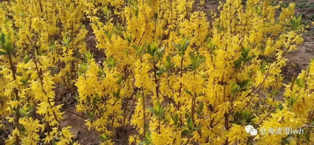 历朝历代清明节 都放几天假 腾讯新闻