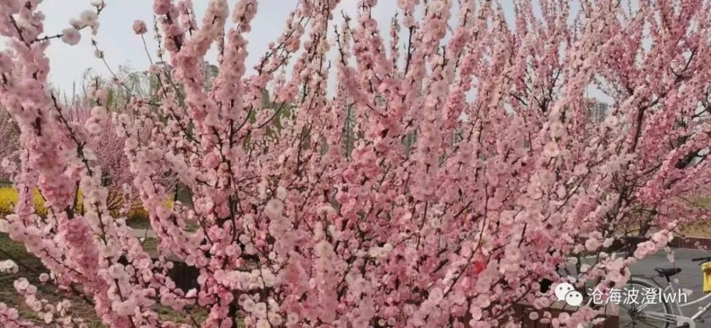 历朝历代清明节 都放几天假 腾讯新闻