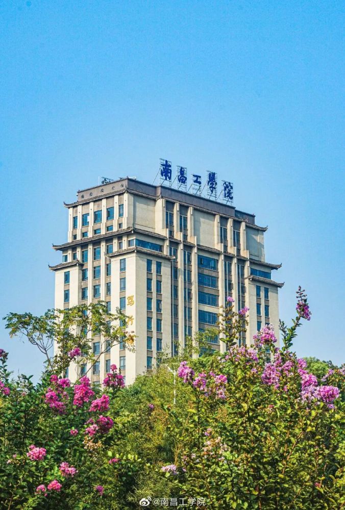 百变南工你想要的滤镜我都有