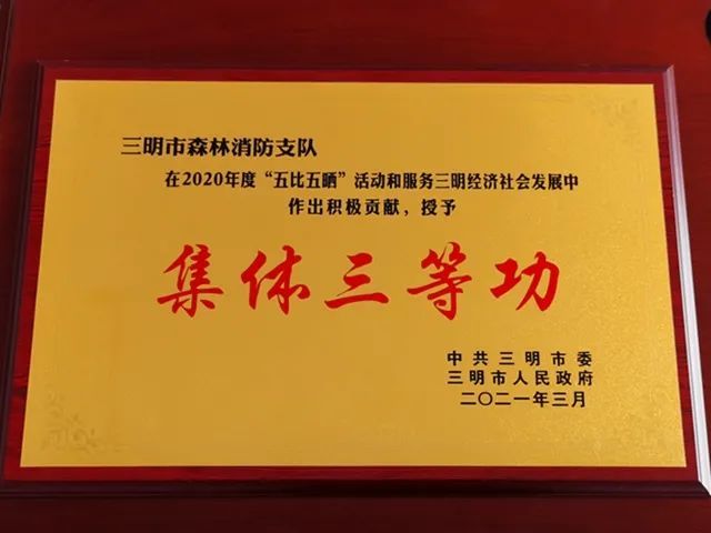 喜报福建省森林消防总队三明支队被三明市委市政府荣记集体三等功