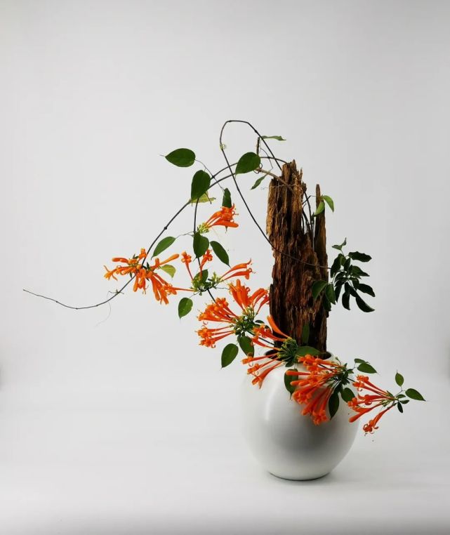 文人插花现代居室也可随心玩