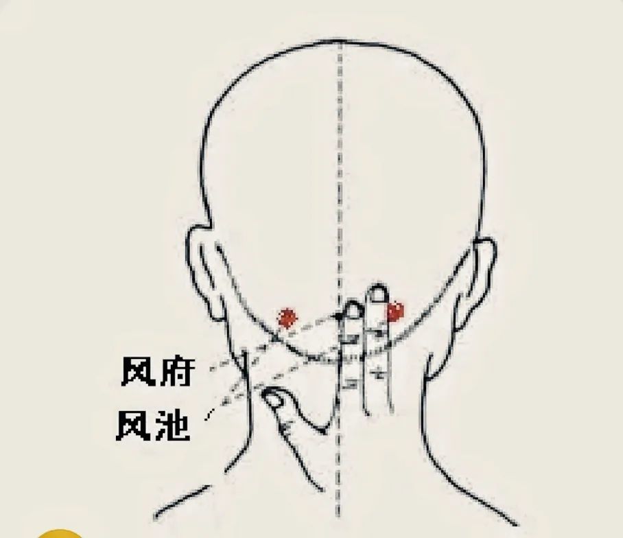 百會穴,太陽穴,風池穴等等.