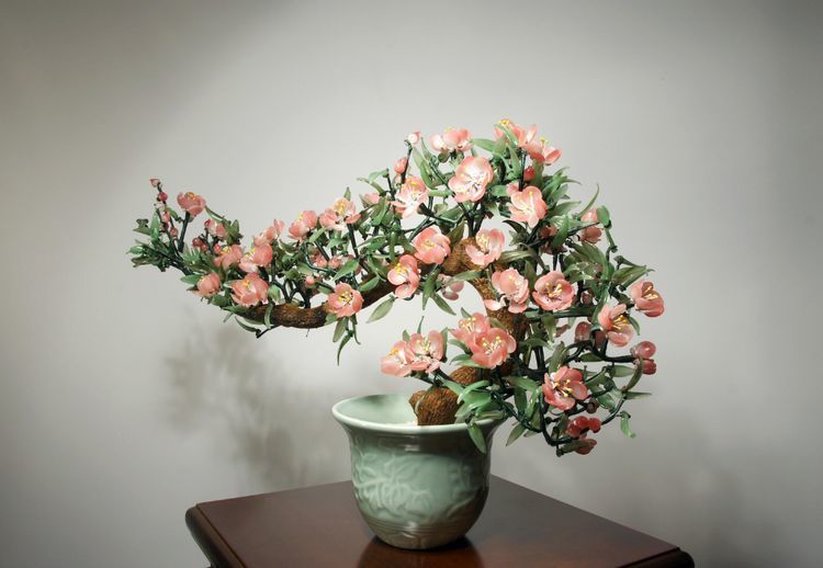 家里养花用对肥料很重要 学会用两种肥料 好养又好看 腾讯新闻