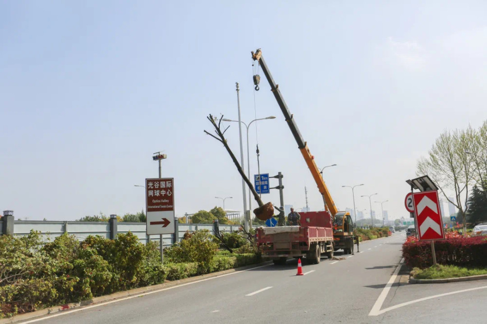 武汉关豹高速改造项目已正式开工光谷片区路网将迎来质的飞跃