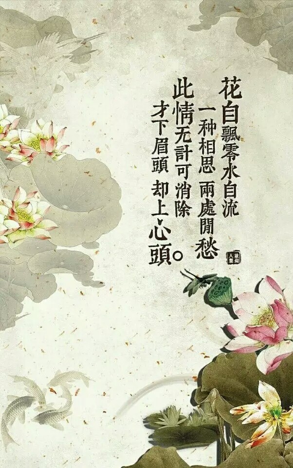 如何表达相思读了来李清照的这首词才知道原来还可以用这种方式表达