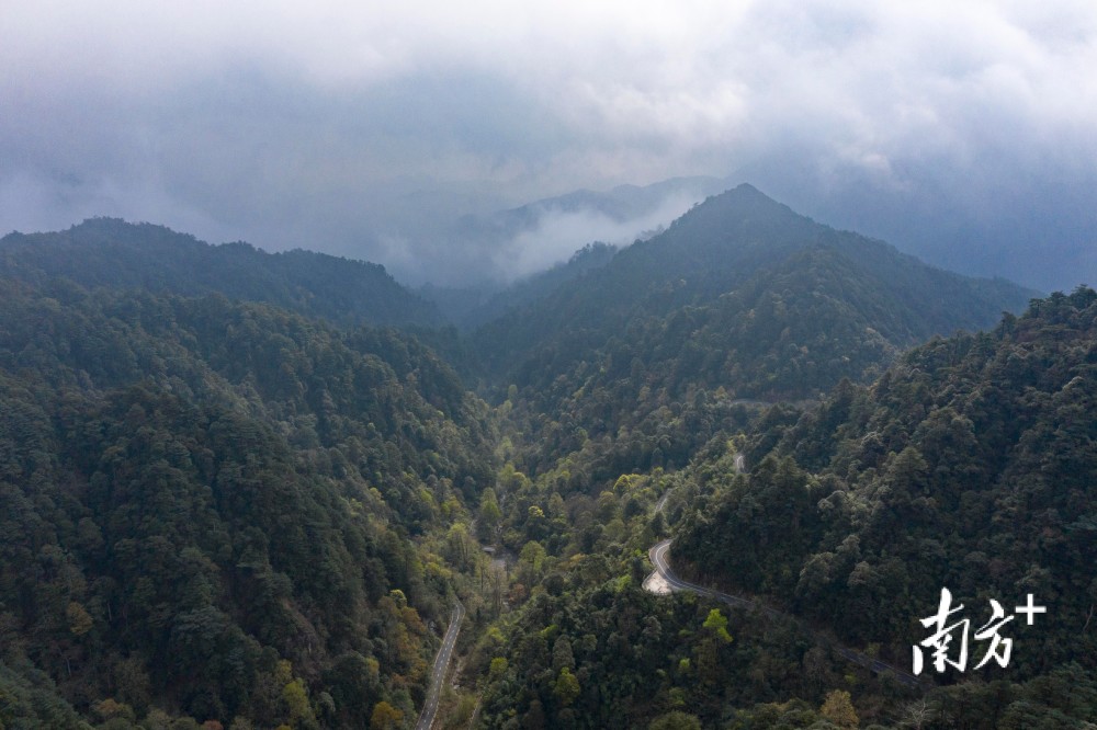 其站址设立在广东南岭国家级自然保护区位于乳源县的乳阳片区范围内