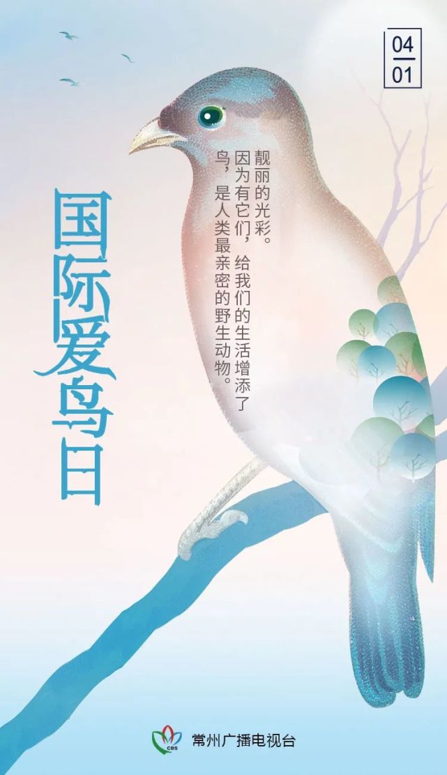 "国际爱鸟日"每年的4月1日为《世界保护益鸟公约》规定是人类最亲密的