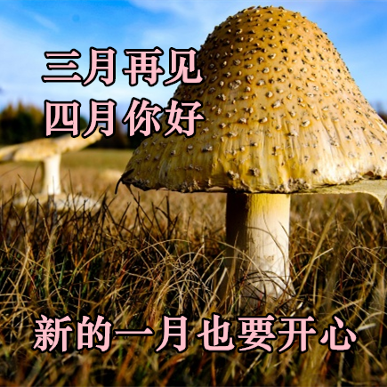 全新最全的三月再見,四月你好的問候圖片祝福語句子 每天早上好問候語