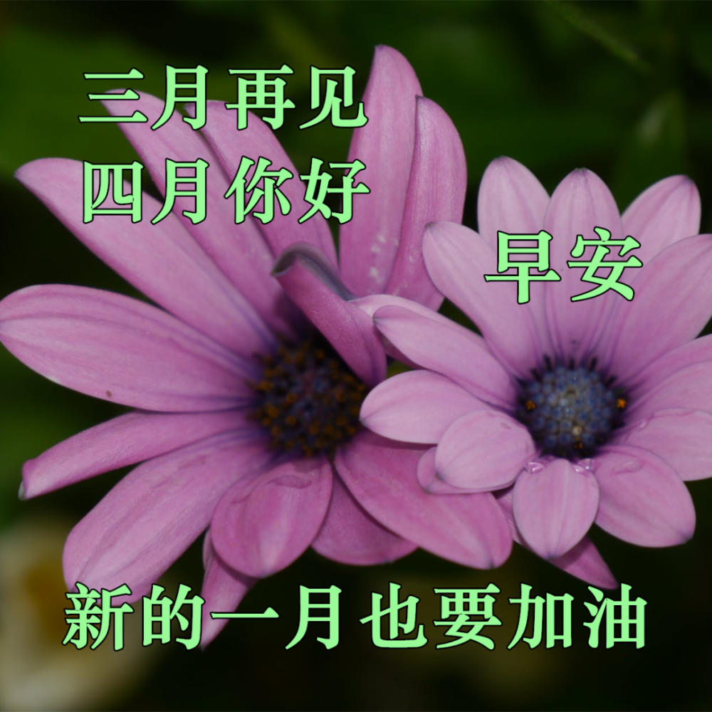 全新最全的三月再见四月你好的问候图片祝福语句子每天早上好问候语