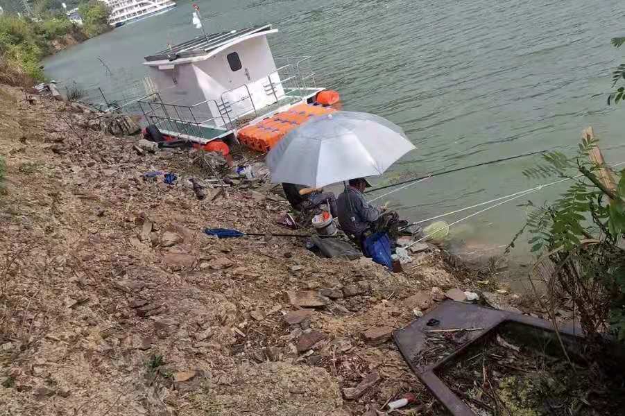 春钓鳊鱼想要竿竿有口 钓法套路少不了 选错方法等于选择空军 腾讯新闻