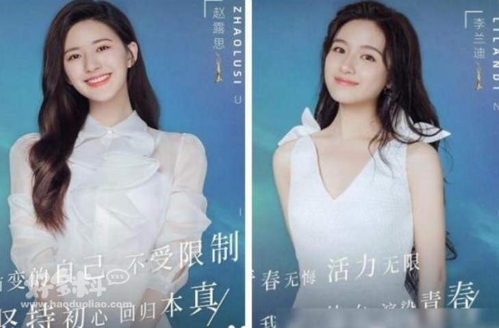 李兰迪和赵露思很像长相相似的两人事业发展完全不同