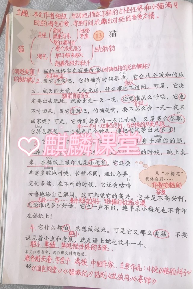 四年级语文下册十三课猫课文手抄笔记孩子预习的好帮手