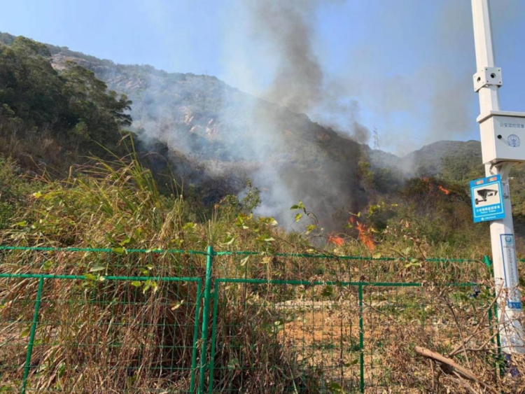 南山公园火灾原因查明系人为纵火我市近期三起森林火灾详情公布