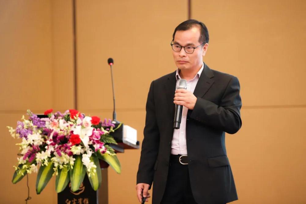 王韶:把握国家战略机遇,湛江具有后发优势,价值正在重估!