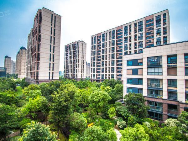 冷眼看年报朗诗绿色地产财报绿油油净利大跌109