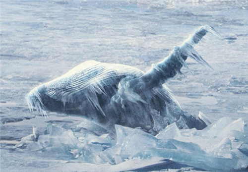 "7号冰"到底是什么?科学家研究发现,几天便能冻住整个地球