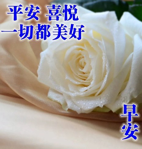 今天非常漂亮的早安問候美圖帶字帶祝福