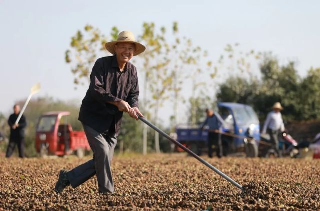 献礼建党100周年｜杜康杯“强起来 美起来 富起来”河南乡村振兴摄影展...