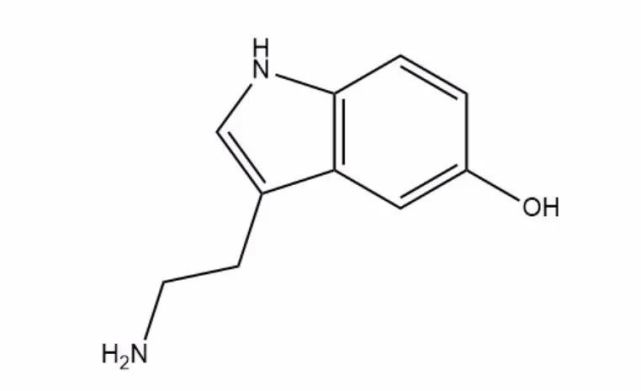 血清素的分子结构