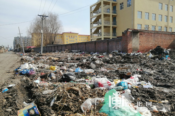 我为群众办实事呼兰区康金街道满街垃圾谁来清理