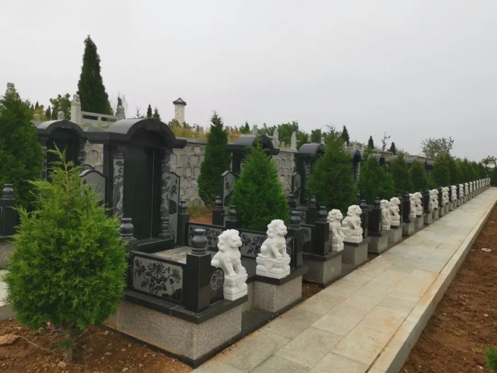 龙口新建,卧龙山公墓!_腾讯新闻