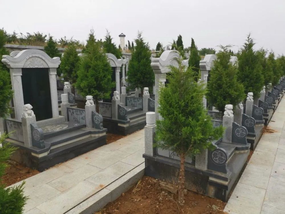 龙口新建,卧龙山公墓!_腾讯新闻