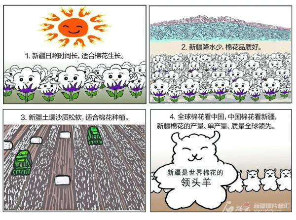 新疆棉花产业韧性足发展空间广