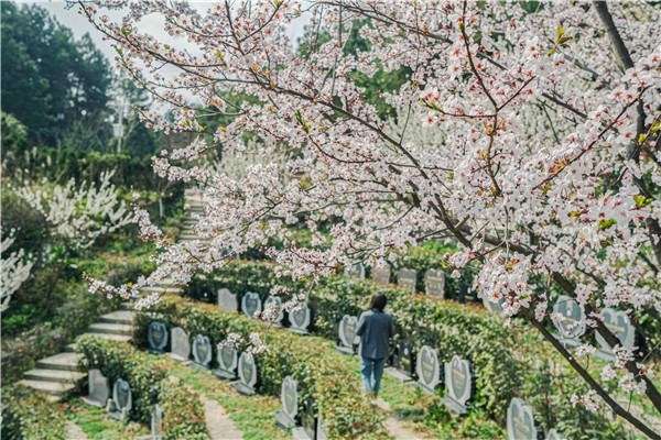 花溪福泽园已经成为贵阳公墓的先行者