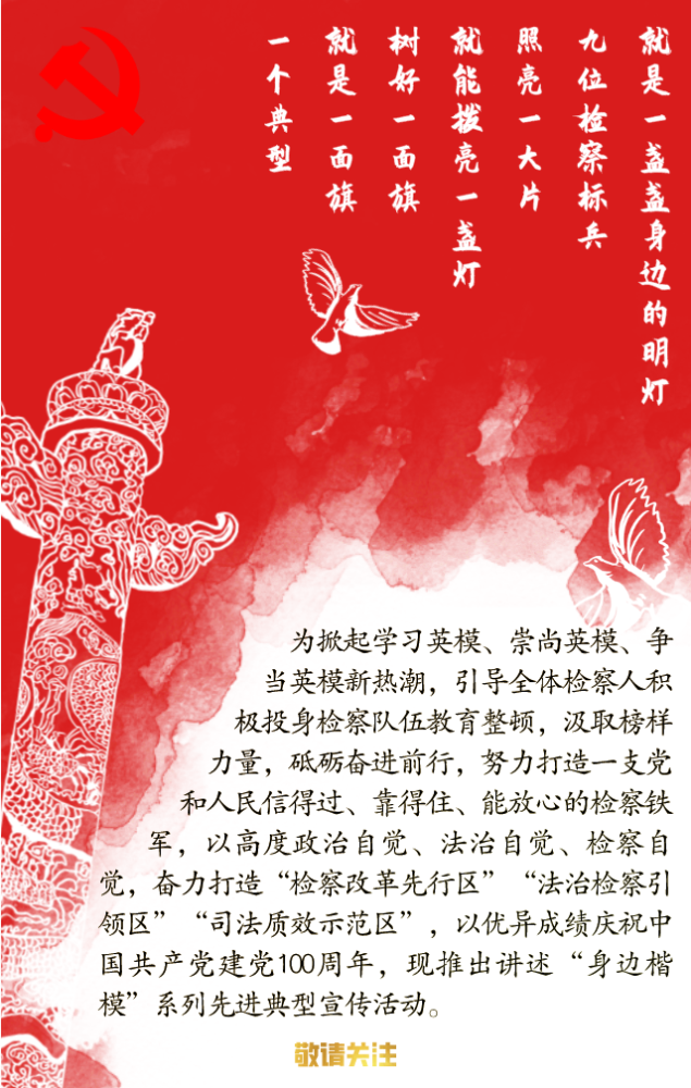 身边楷模丨赵海英:在扫黑除恶斗争中见忠诚,显担当