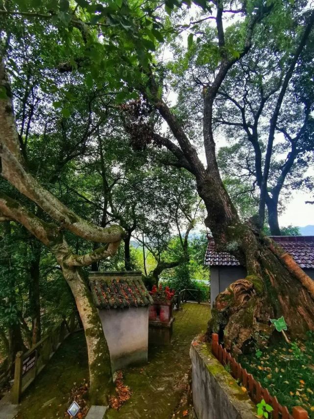 闽北美景|建瓯小松湖头村:让你元气满满的全国运动休闲特色小镇_腾讯
