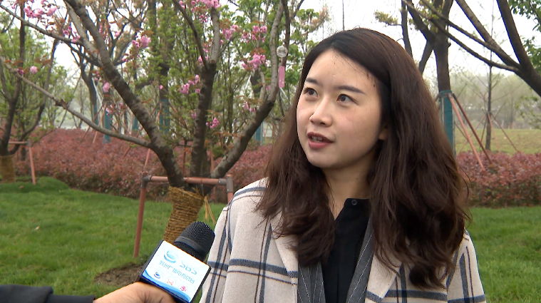 长三角国际赏樱节在相城举行中日友好天文台设计发布