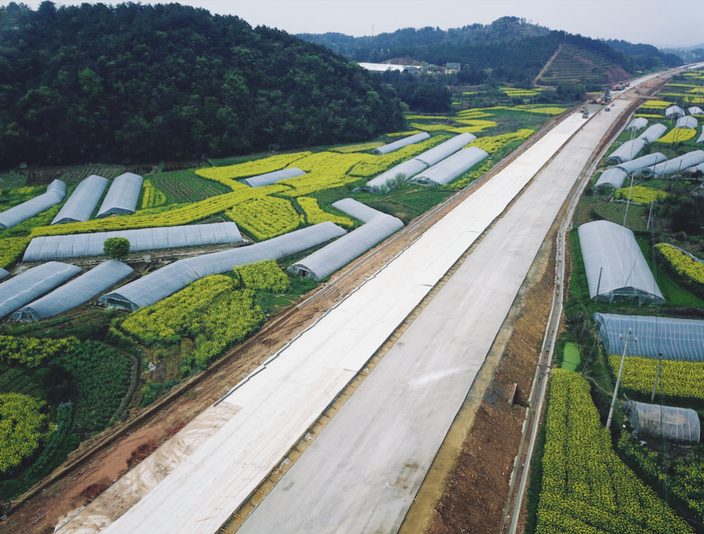 衢州351国道城区段开足马力热血奋战实现首季开门红