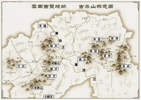 普洱茶古六大茶山你知道几个下