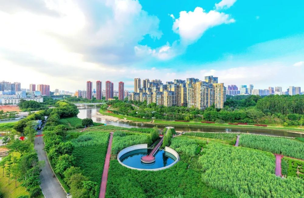 龙华人 请为我们的观澜河打call!