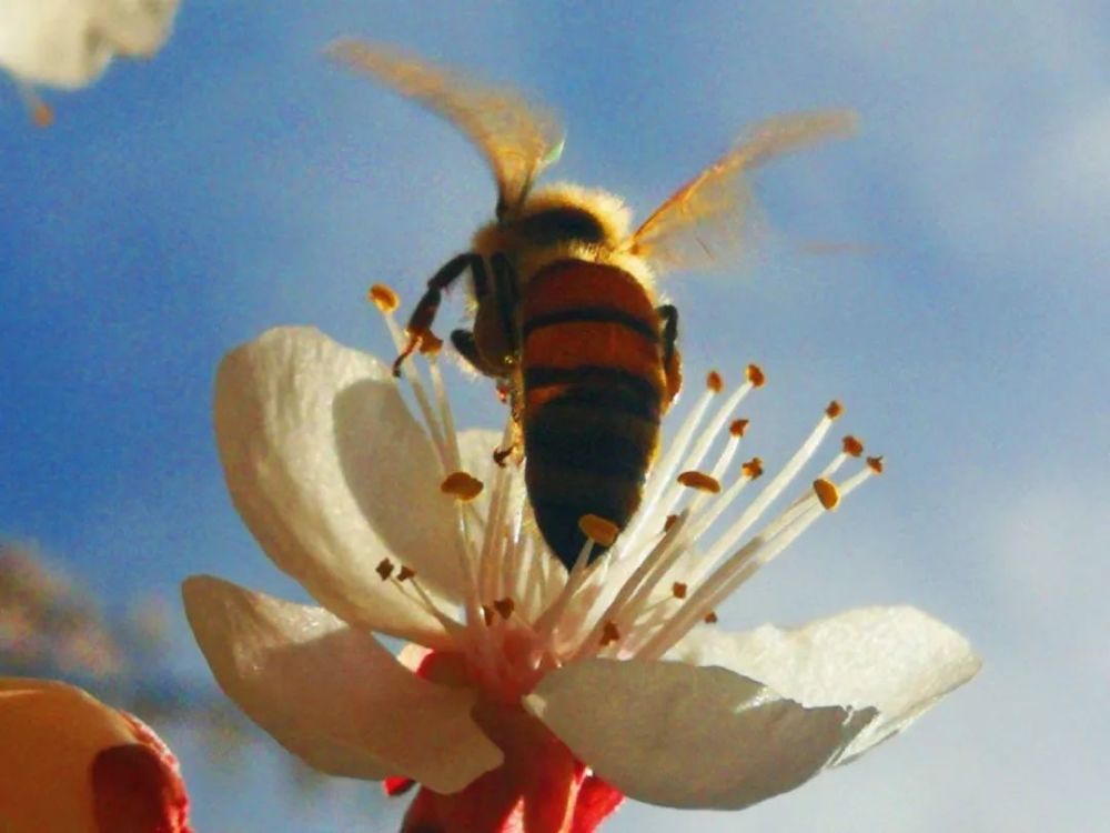 奔跑吧,如花的四月!