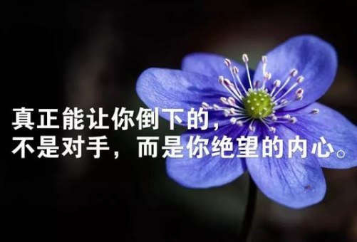 新一周早上好唯美励志说说句子句句充满阳光