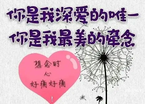 深情的爱,见或不见都永远不变;想念心爱的人,再苦都是甜