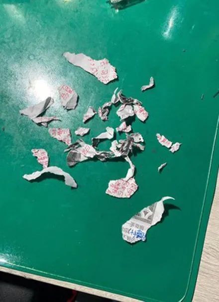 写了2个小时的作业被狗子撕碎小主人躲在厕所里偷哭可以不重写吗