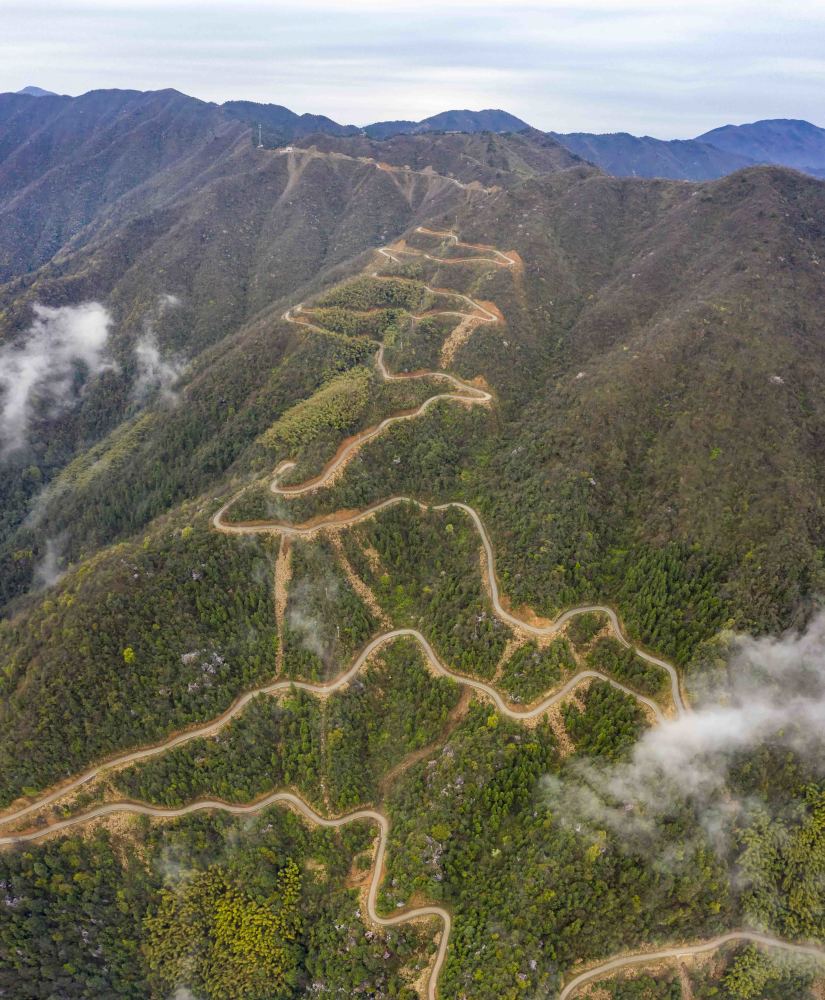 江西武寧太平山雨後雲海