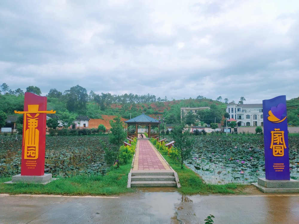 紫金乡村振兴接续推进 凤安镇仁里村:传承勤勉好家风,巾帼行动美家园