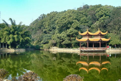 长沙周边最适合一家人短途踏青的好去处