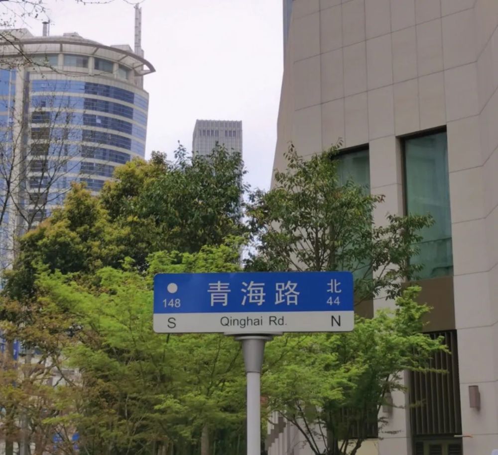 青海路上的樱花与"豪宅"