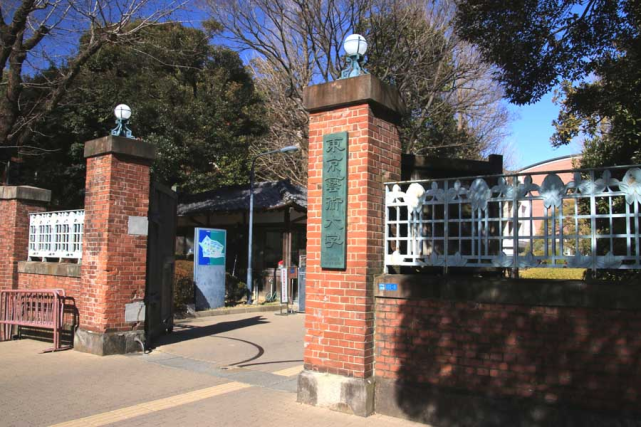 东京艺术大学是日本唯一一所国立的艺术院校,也是日本最高艺术殿堂.