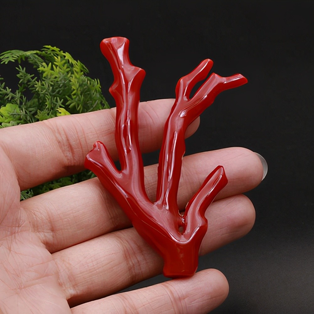 去台湾旅游当地的红珊瑚你还会入手吗