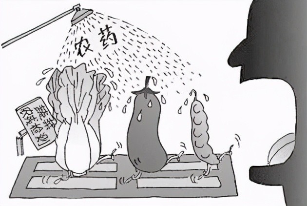烟叶水杀虫,再到用硫酸铜喷洒葡萄园防虫,第一代农药只是简单地利用