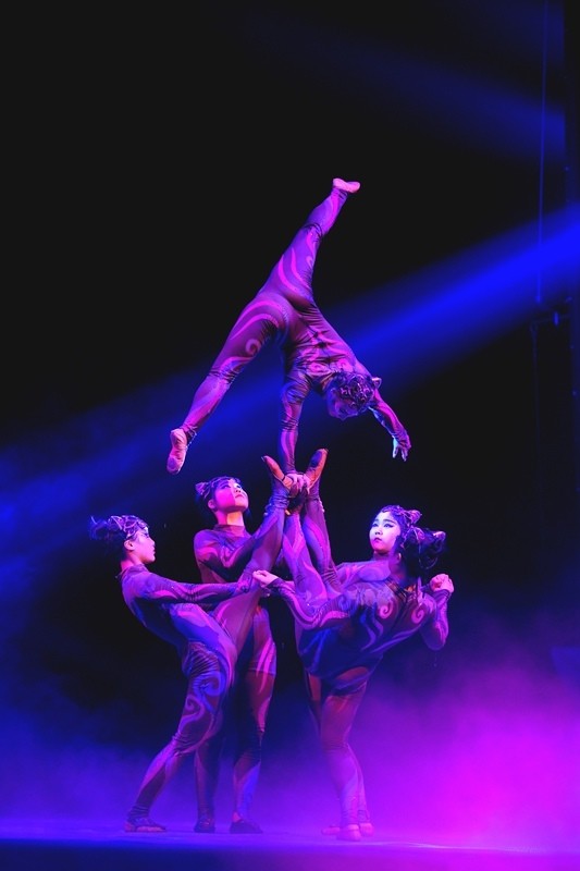 濮阳杂技创新生机勃勃7次改版观众惊艳12年