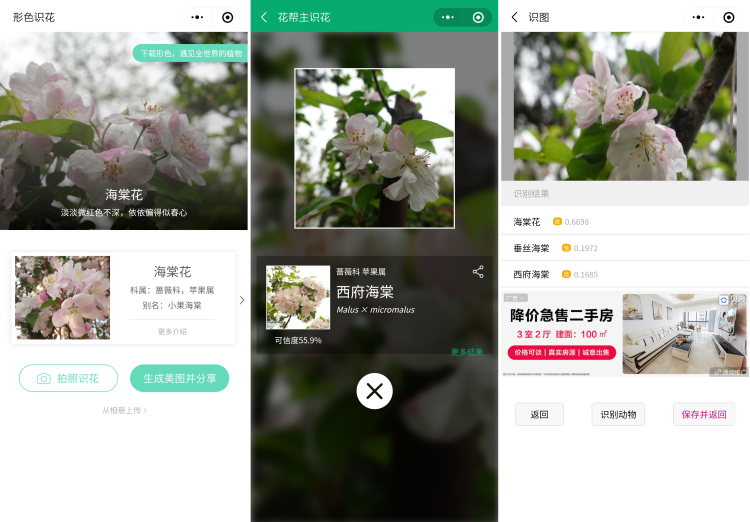 实测有用3款识花小程序让你再也不愁认错花
