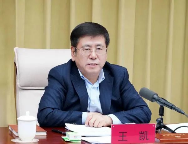 4月2日,河南省十三届人大常委会第二十三次会议决定任命:王凯同志为