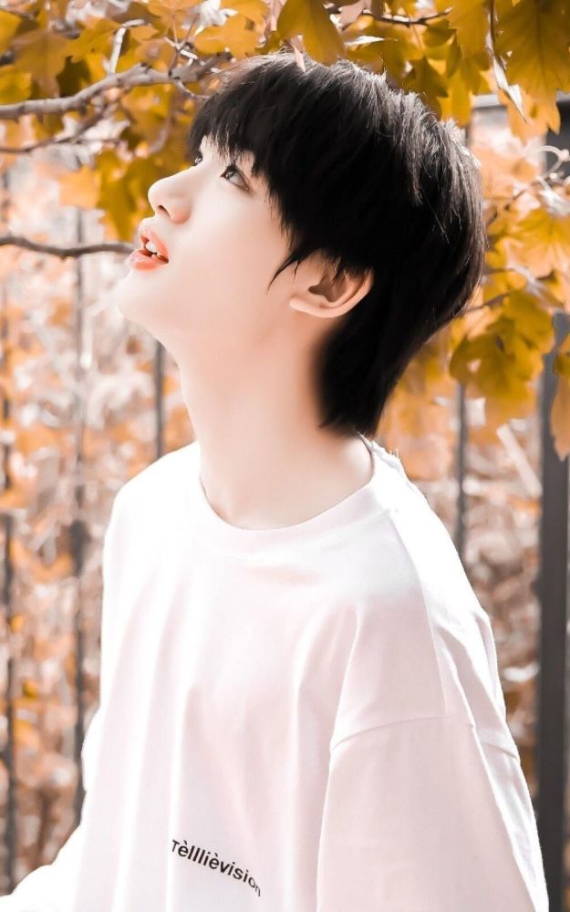 明星仙图册丁程鑫03期文章篇