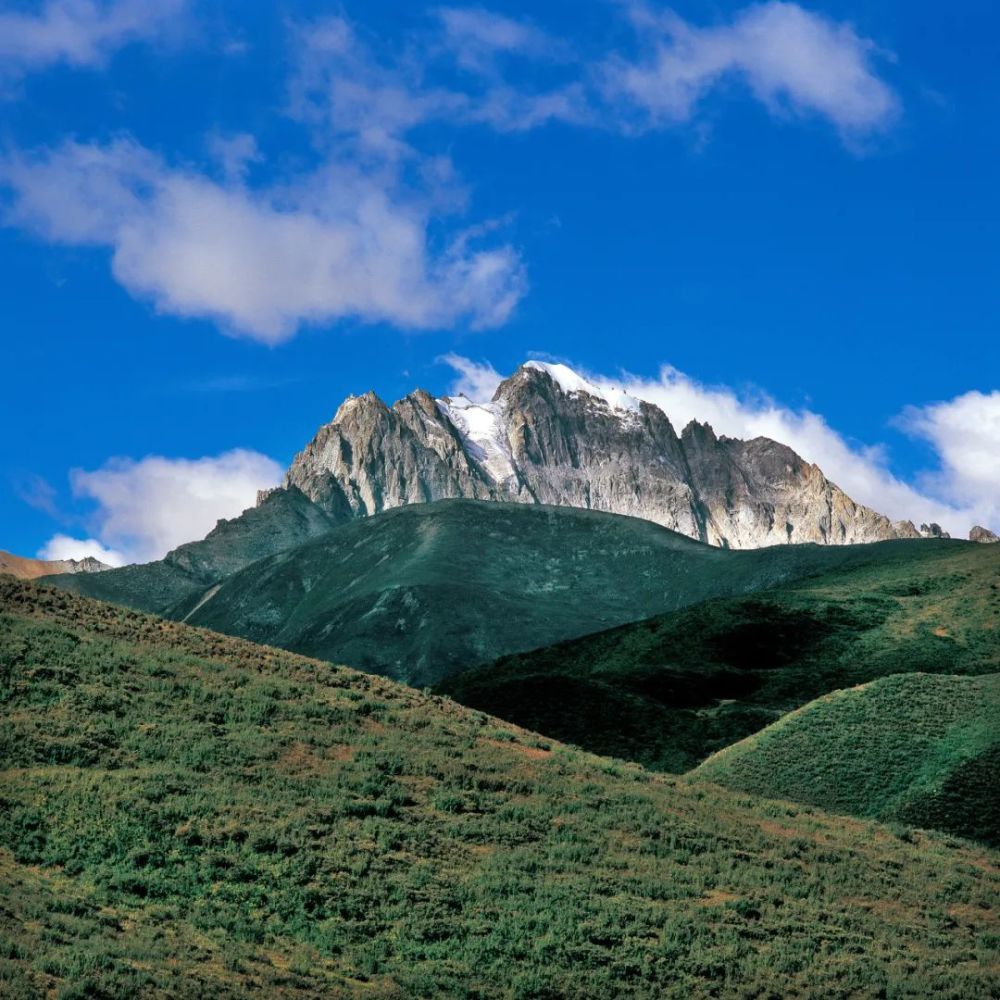山南_南山集团_南山南